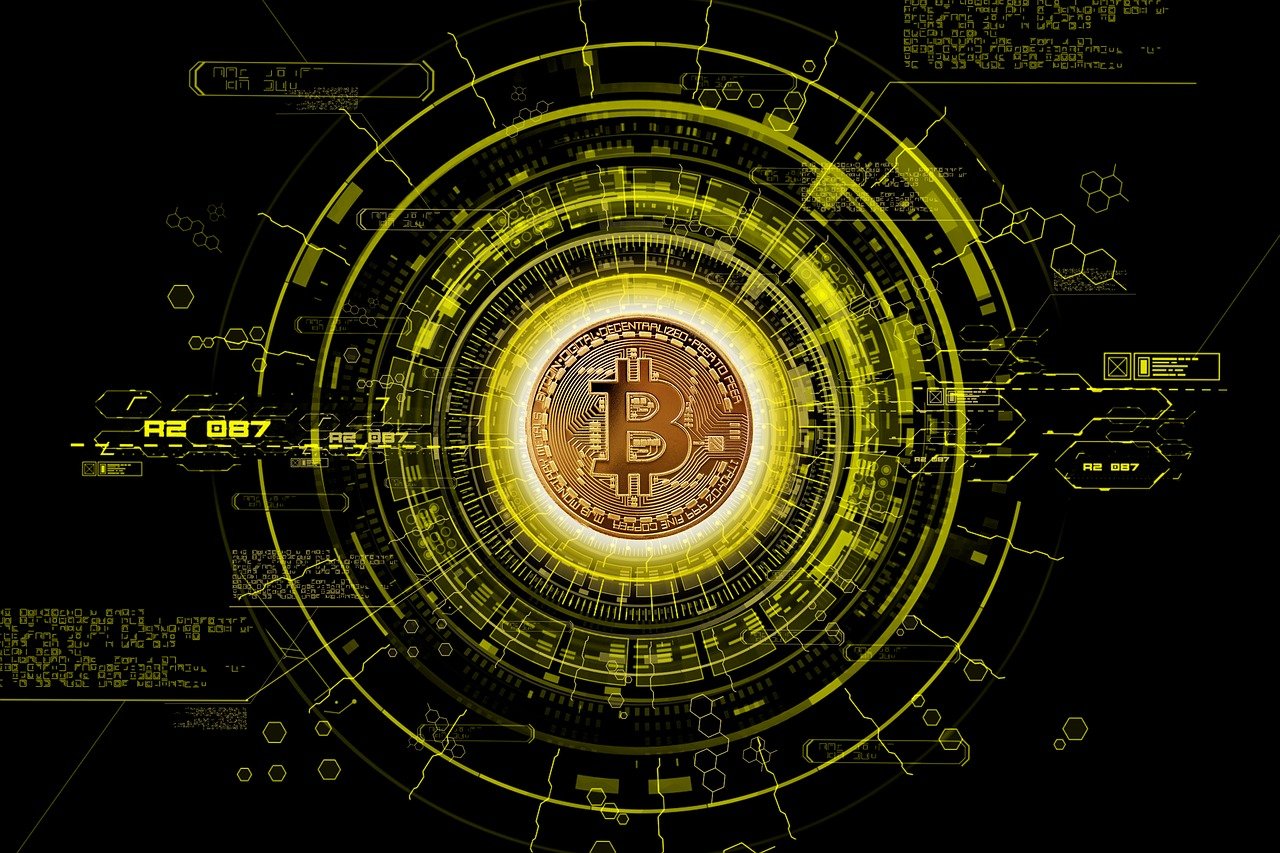 宅男頻道新探索，虛擬世界的全新領(lǐng)域與最新地址揭秘