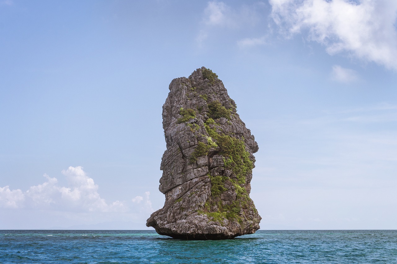 國家海洋樂園最新資訊，探索海洋世界的最新動態(tài)