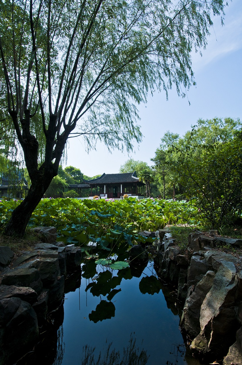 西武高鐵最新進(jìn)展、挑戰(zhàn)及未來(lái)展望，全線(xiàn)動(dòng)態(tài)速遞