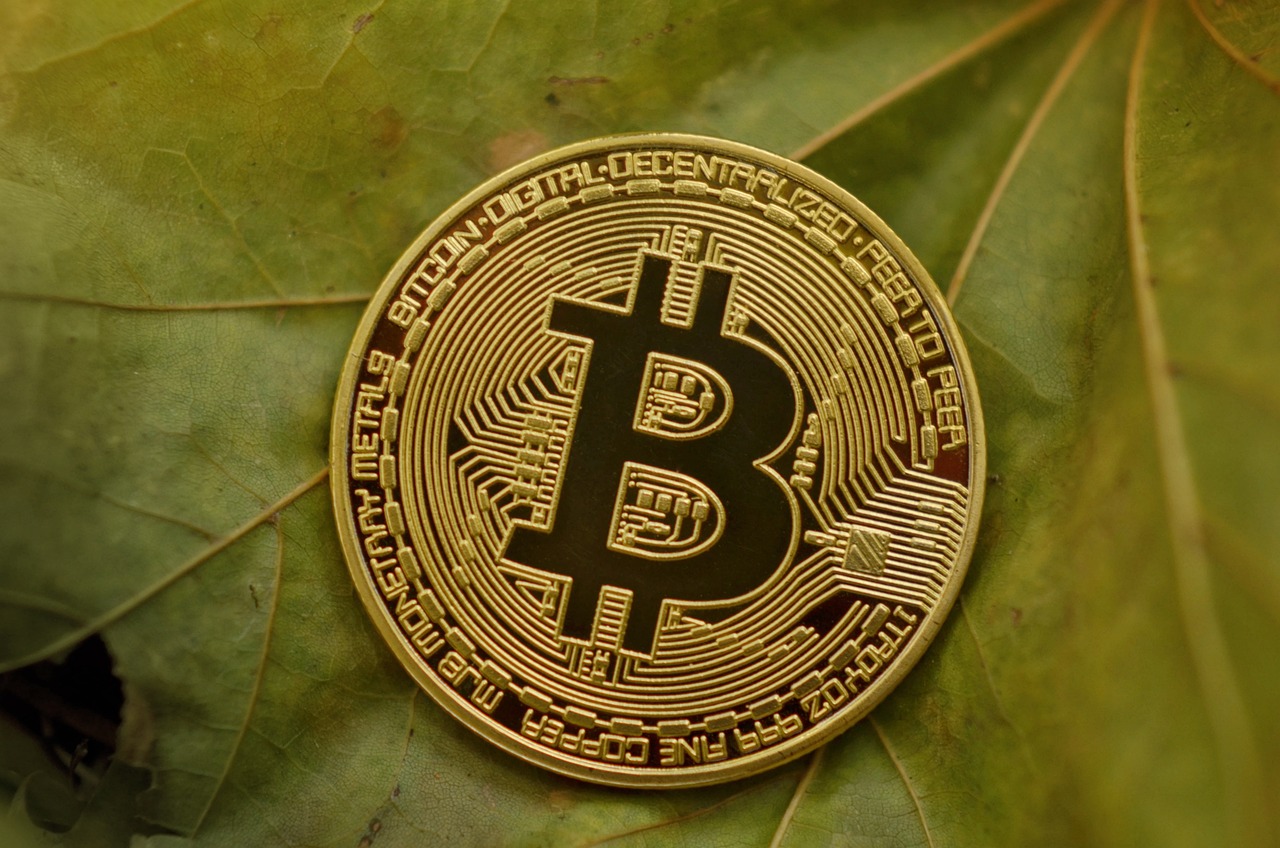 最新科朗普動態(tài)引領(lǐng)科技革新，塑造未來格局
