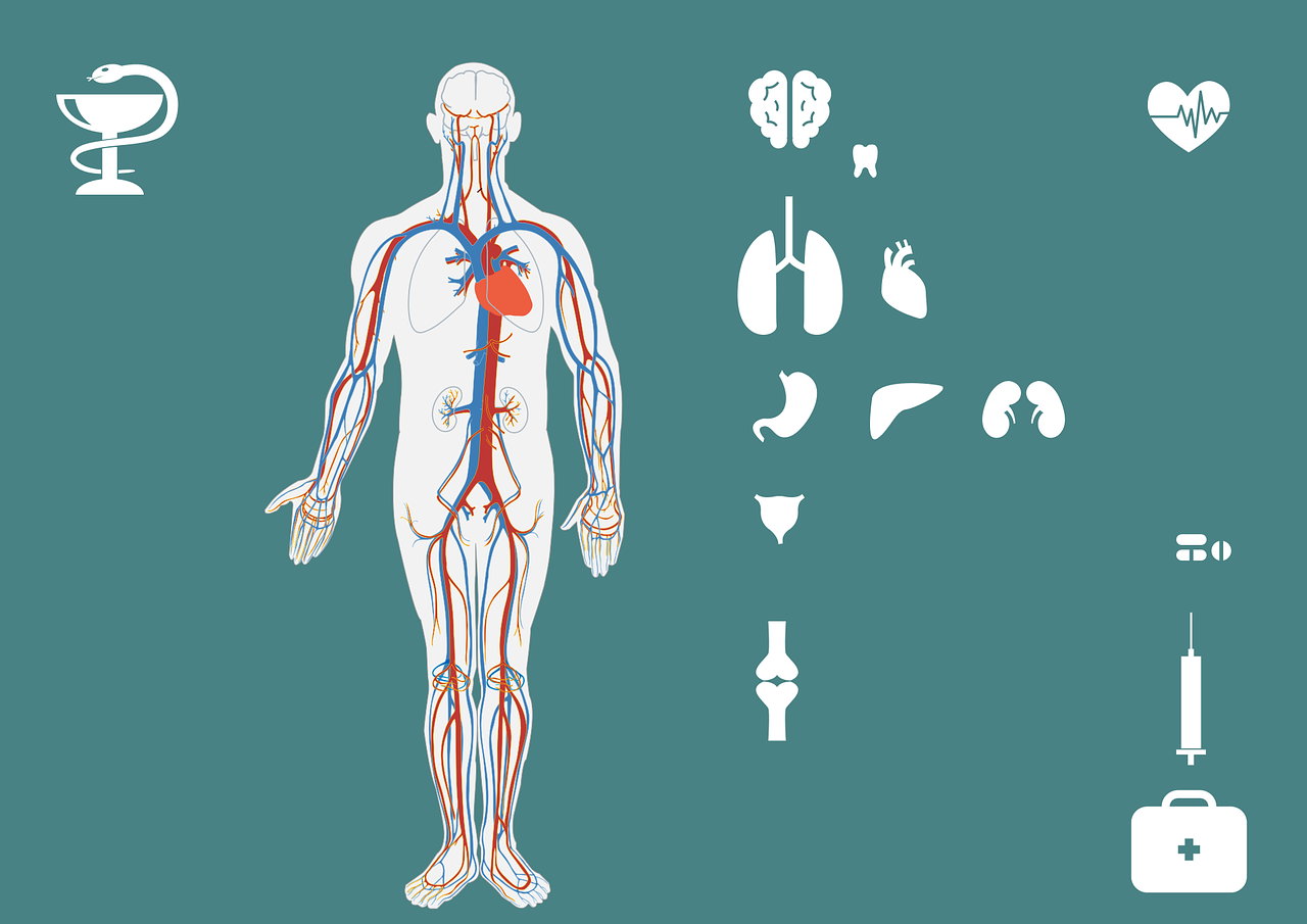 沙河玻璃網(wǎng)最新行情深度解析報(bào)告