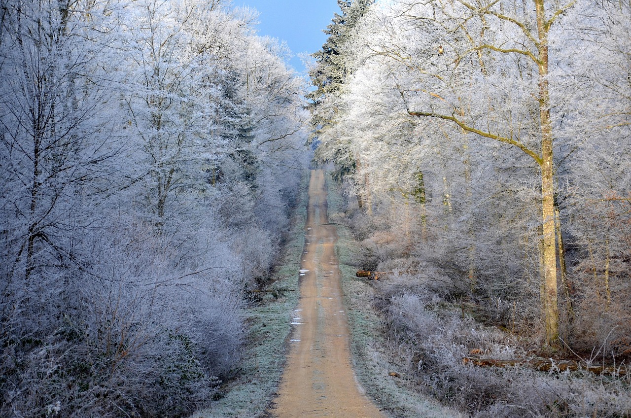 太和美景公園最新資訊，探索自然之美的最前沿