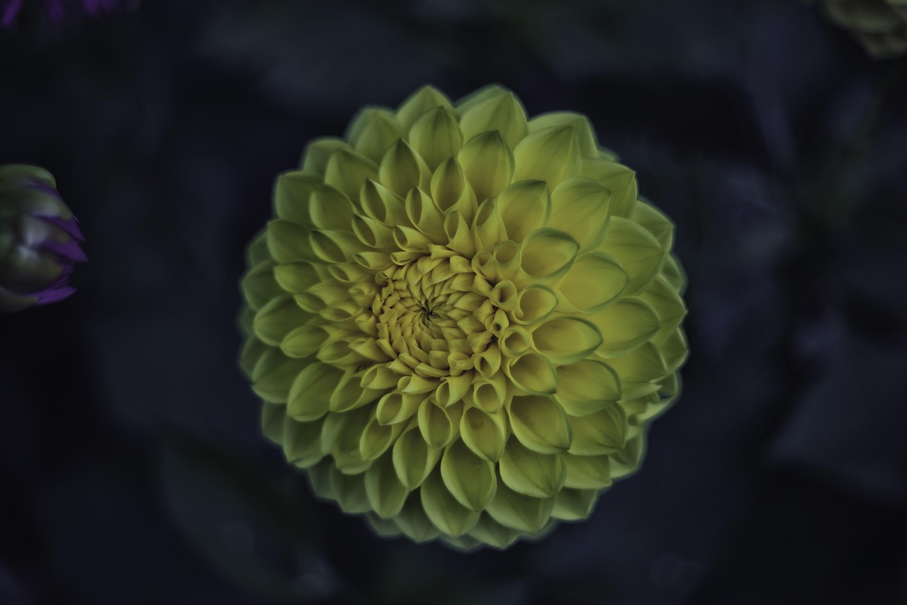 愛(ài)我?guī)追?第7頁(yè)