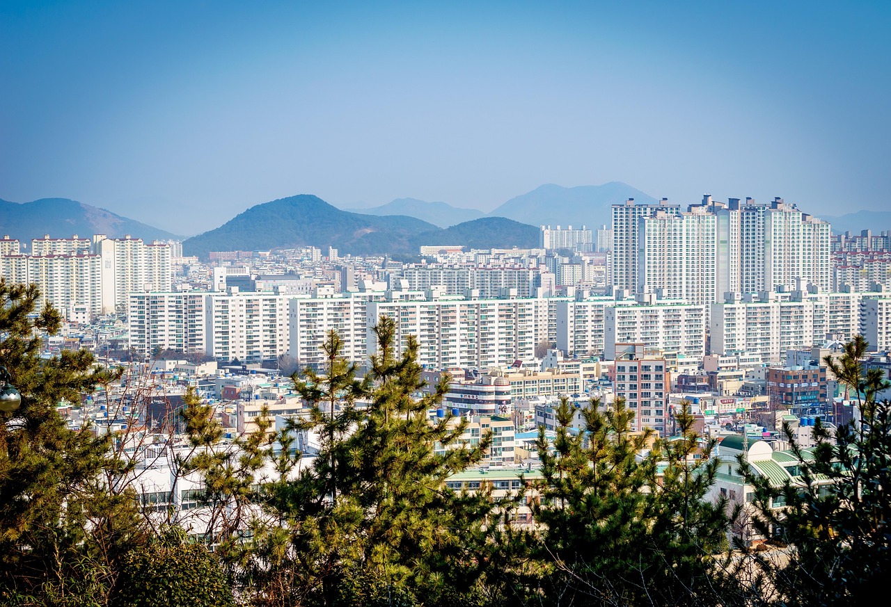 鄆城最新交通規(guī)劃圖揭曉，塑造未來城市新交通藍圖