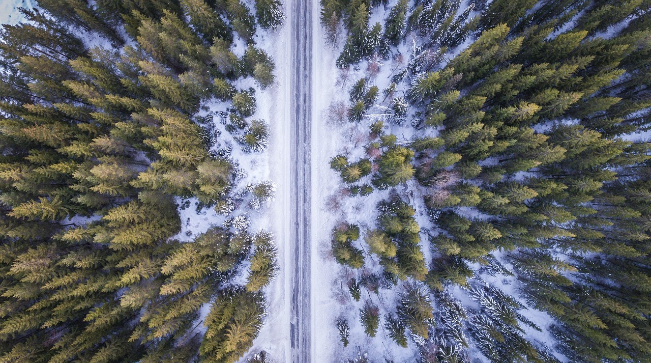 風(fēng)景動(dòng)漫，從畫面到心靈的奇幻旅程