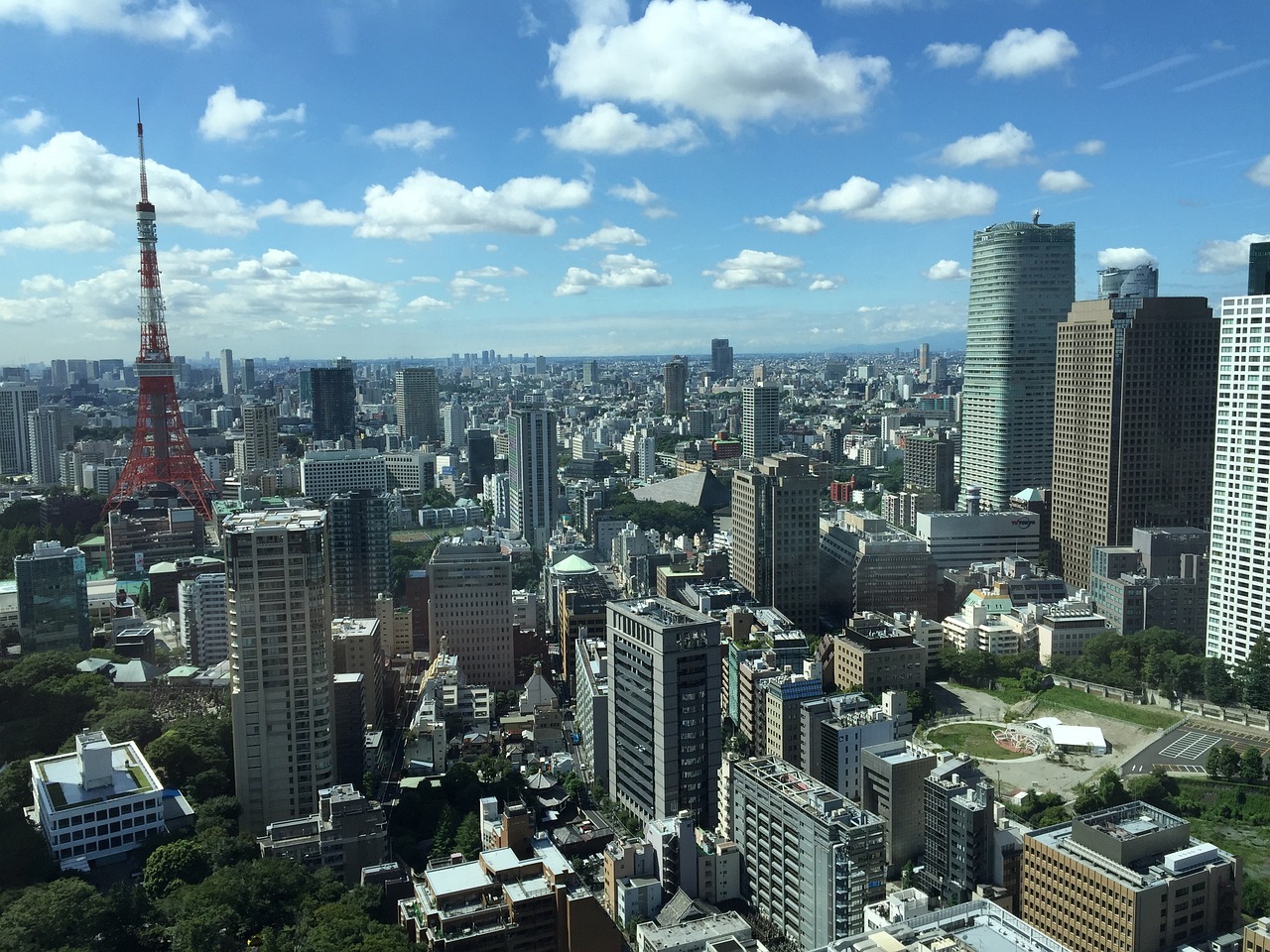 最新棉花行情分析與趨勢展望