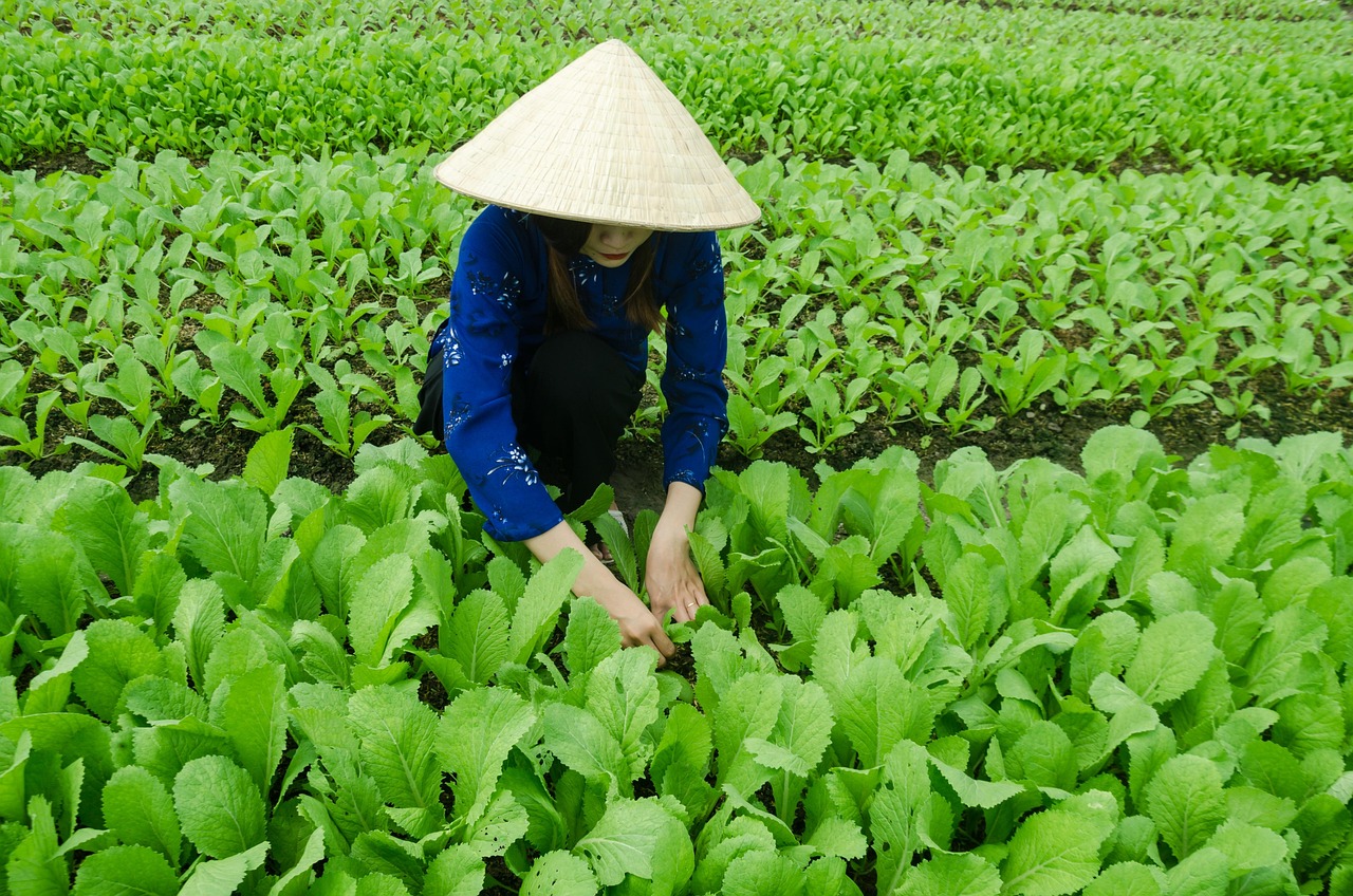 2017年第4號臺風最新動態(tài)與發(fā)展，影響及趨勢關注