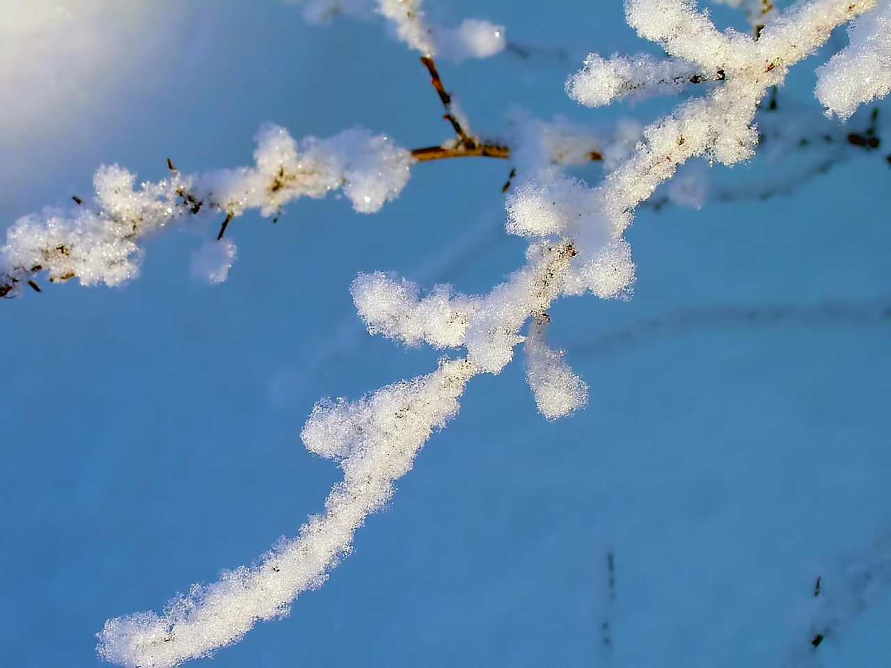 石家莊地震最新消息今日更新，背景分析與實(shí)時(shí)動(dòng)態(tài)關(guān)注